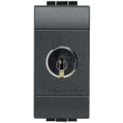 BTICINO - Interruptor bipolar con llave Livinglight - llaves diferentes - 1 módulo - Antracita