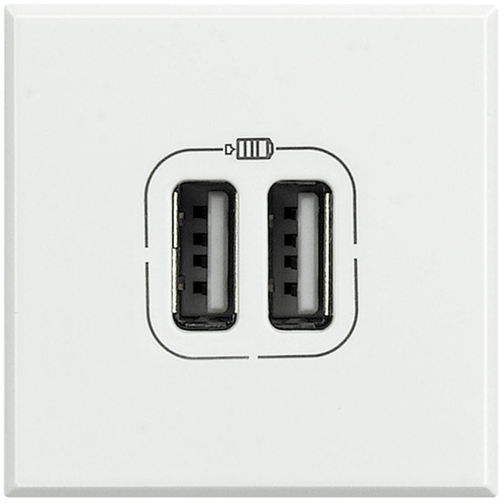 BTICINO - Base cargador doble USB (A) Axolute - 2,4A - 5V - 230V - Blanco - 2 módulos