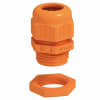 Uña del pulgar Imagen del producto 1