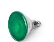 FARO - LAMP.PAR38 E27 LED 10W 4000K VD.
