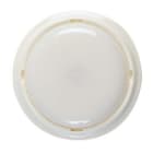 LUZNOR - Baliza centralizado 1h IP55 difusor opal blanco