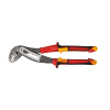 Uña del pulgar Imagen del producto 1
