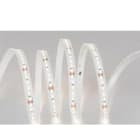 TSL - Tira flexible BELL 2 rollo 5 metros SMD2835 120 LED/m 24W/m 24VDC 4.000K IP65/H 2.200lm/m CRI>80 12mm
