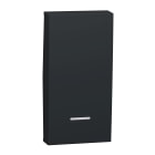Schneider Electric - Tecla 1 modulo con visor antracita