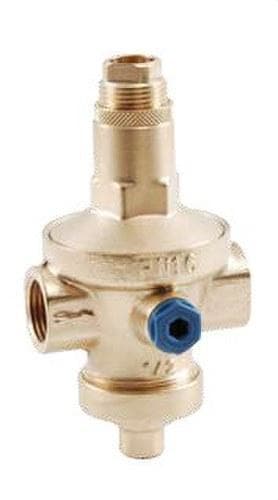 POTERMIC - Reductor presión 224 RIO 1" inoxidable