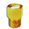 Uña del pulgar Imagen del producto 1