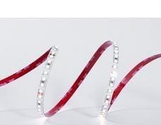 TSL - Tira flexible LYNX 5 SMD2835 140Led/m 5W/m 24VDC 6.000K IP65/H 765lm/m CRI>80 10mm (rollo 5m)
