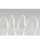 TSL - Tira flexible BAST 1 rollo 5 metros SMD2835 60 LED/m 4,8W/m 24VDC 6.000K IP65/H 480lm/m CRI>80 10mm