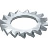 Uña del pulgar Imagen del producto 1