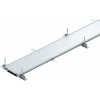 Uña del pulgar Imagen del producto 1