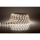 BLUELED - Tira fexible 2835 24V 42W 6500K IP20 CRI>93