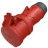 Uña del pulgar Imagen del producto 1