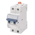GEWISS - Interruptor magnetotérmico MT60 2P 25A curva C 2 módulos