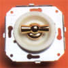 Uña del pulgar Imagen del producto 1