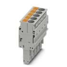 PHOENIX CONTACT - CONECTOR PP-H 6/5