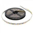 BLUELED - Tira flexible 2216 24V 19,2W blanco DUAL CCT 2700K 6000K  IP67 CRI>93 280 LEDS/m (rollo 5m)