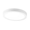 Uña del pulgar Imagen del producto 1