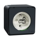 Schneider Electric - Enchufe Mureva EV SideE screw surface