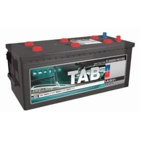 TAB SPAIN - BATERÍA DE SEMITRACCIÓN 190P 250AH C100 225AH C20
