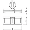 Uña del pulgar 207445243_6 3