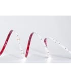 TSL - Tira flexible THER 4 SMD2835 160Led/m 11W/m 24VDC 2.700K IP67/E 1.650lm CRI>80 10mm