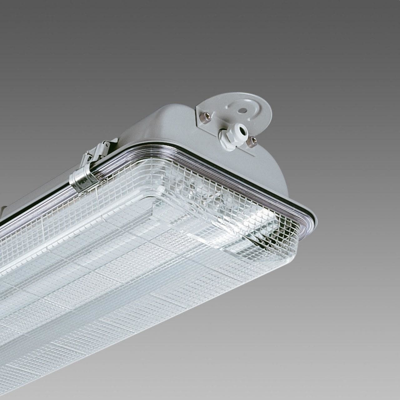 DISANO - Luminaria estanca 991 STEEL AC+POL FL 2x54 CELLF-E gris