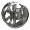 Uña del pulgar Imagen del producto 1