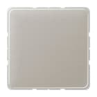JUNG - PLACA CENTRAL CIEGA CD500 PLATINO