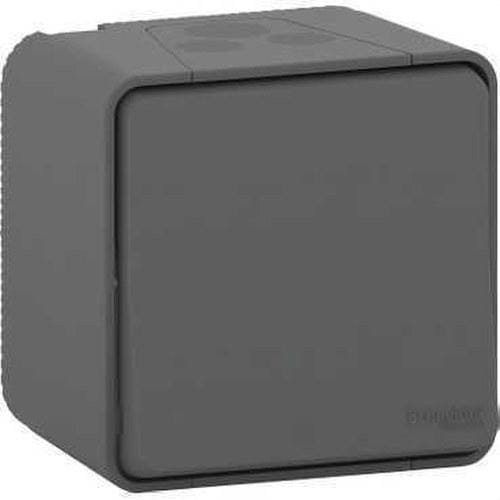 Schneider Electric - Conmutador de superficie de la gama MUREVA STYL gris