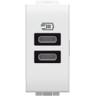 BTICINO - Base cargador doble USB Livinglight - Tipo C+C - Blanco - 1 módulo