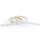 INDELUZ - Tira LED IP20 SMD5050 24V 18,18W/m RGB + 4000K (5,24 W/m CRI>80) (5m)