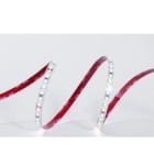 TSL - Tira flexible LYNX 10 SMD2835 140Led/m 5W/m 24VDC 4.000K IP20/N 800lm/m CRI>80 8mm (rollo 5m)