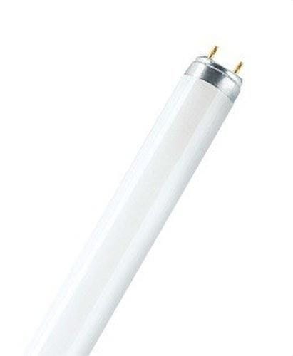 OSRAM - L 36W/76-1