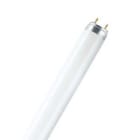 OSRAM - L 36W/76-1