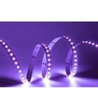 TSL - Tira flexible ARCO 17 SMD2835 120Led/m 14W/m 24VDC rosa IP20/N 410lm/m 10mm