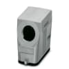 Uña del pulgar Imagen del producto 1