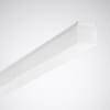 Uña del pulgar Imagen del producto 1