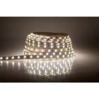 BLUELED - Tira flexible 2835 24V 42W 6500K IP20 CRI>93 (rollo 3m)