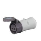 KOBAN - Prolongador KCONBT-216-21244 IP44 25V 16A 2 polos
