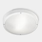 LEDS-C4 - Plafón IP66 BASIC E27 E27 15, 15W blanco