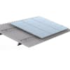 Uña del pulgar Imagen del producto 1