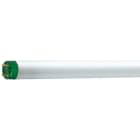 PHILIPS LIGHTING SOLUTIONS - Lámpara fluorescente Master TL-D ECO 32W/865 G13