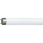 PHILIPS LIGHTING SOLUTIONS - Lámpara fluorescente TLD 36W/840 4000K super 80