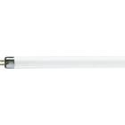 PHILIPS LIGHTING SOLUTIONS - Fluorescente Master TL mini Atura 8W-840 4000K
