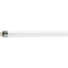 PHILIPS LIGHTING SOLUTIONS - Fluorescente Master TL mini Atura 13W/840 4000K