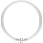 PHILIPS LIGHTING SOLUTIONS - Fluorescente circular Master TL5 diámetro 16mm 22W/840