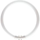 PHILIPS LIGHTING SOLUTIONS - Fluorescente circular MASTER TL5 diámetro 16mm 60W/840