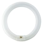 PHILIPS LIGHTING SOLUTIONS - Fluorescente Master TL-E circular 32W/830 3000K