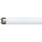 PHILIPS LIGHTING SOLUTIONS - Lámpara fluorescente TLD 18W/865 6500K super 80