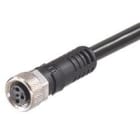 MOLEX - LATIGUILLO M8 5 POLES HEMB RECTO 24AWG WSOR 5M
